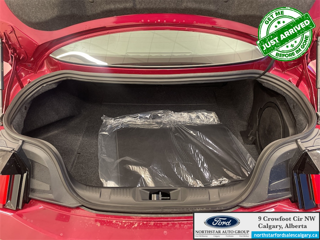 2026 FORD Mustang EcoBoost Premium - Photo 15