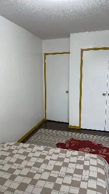 Furnished Room in Apartment building for rent $1200 - Photo 3