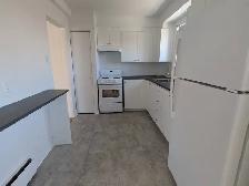 Beau GRAND 4½ LIBRE/CDN/POLY/ HEC/UdeM - Photo 3