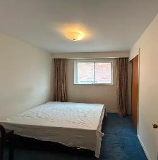 Only $798 Best Deal! Very Bright! One Bedroom Unit Rent - Photo 4