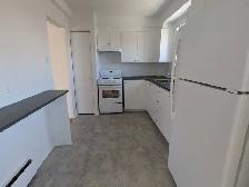 Beau GRAND 4½ LIBRE/CDN/POLY/ HEC/UdeM - Photo 3