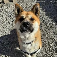 aidez-moi s'il vous plaît