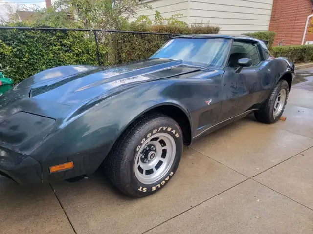 1979 Corvette Stingray  C3-V8