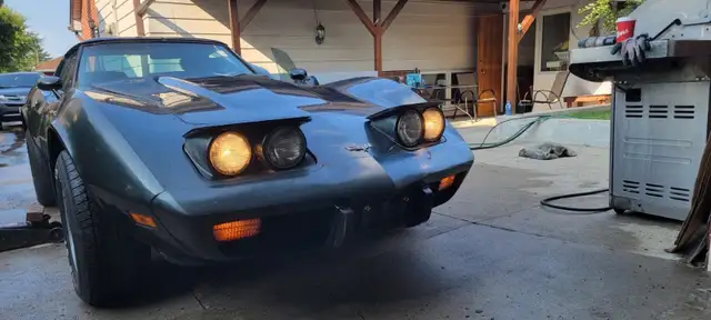 1979 Corvette Stingray  C3-V8 - Photo 3