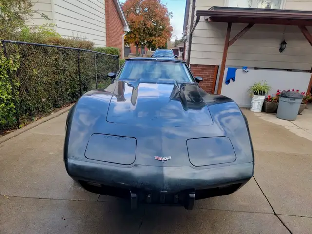 1979 Corvette Stingray  C3-V8 - Photo 4