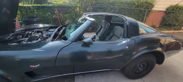 1979 Corvette Stingray  C3-V8 - Photo 5