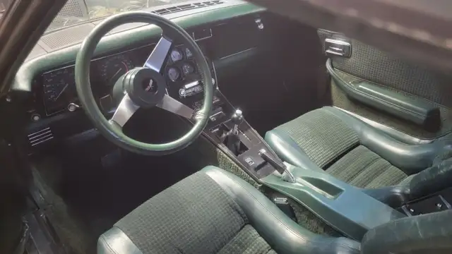 1979 Corvette Stingray  C3-V8 - Photo 6