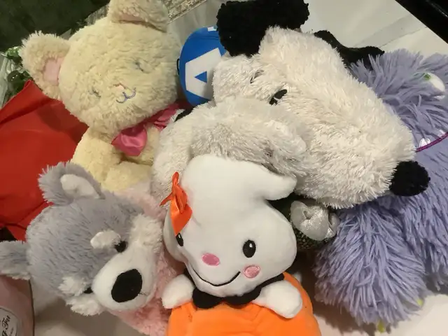 stuffed animals