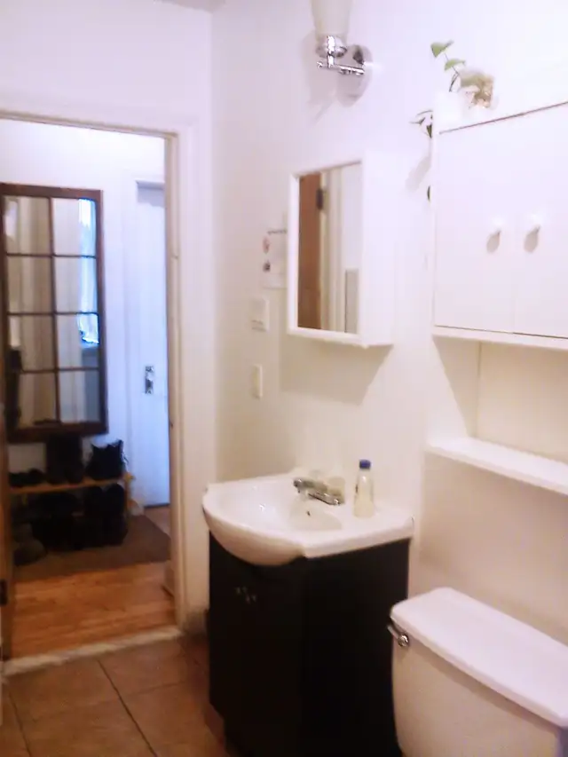 Fully furnished, girl roommates, All incl, metro Vendome, May 1 - Photo 7