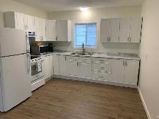 Newly renovated house for sale in Sturgeon Falls - Photo 5