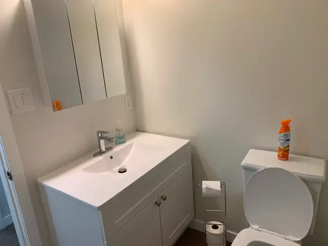 Newly renovated house for sale in Sturgeon Falls - Photo 7