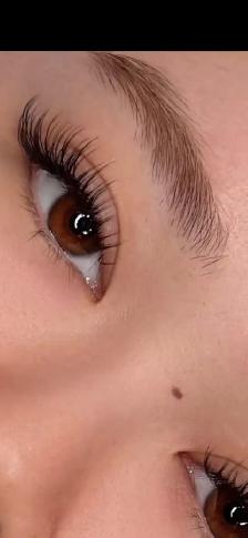 brampton lashes-Any lash set