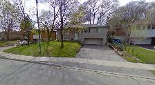 House for Rent near University of Toronto - Photo 10