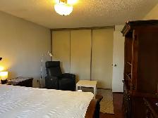 Room for Rent close to Square One - Photo 7