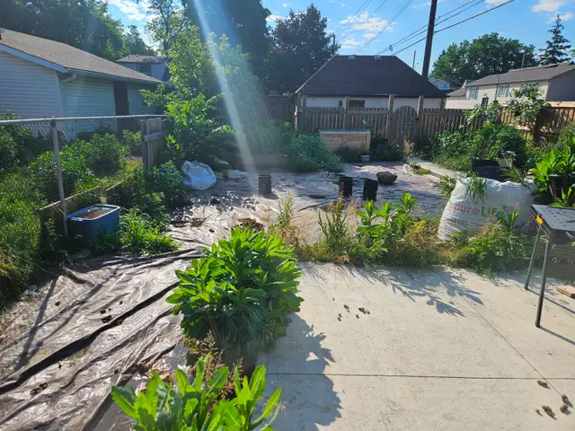 Landscaping - Photo 3