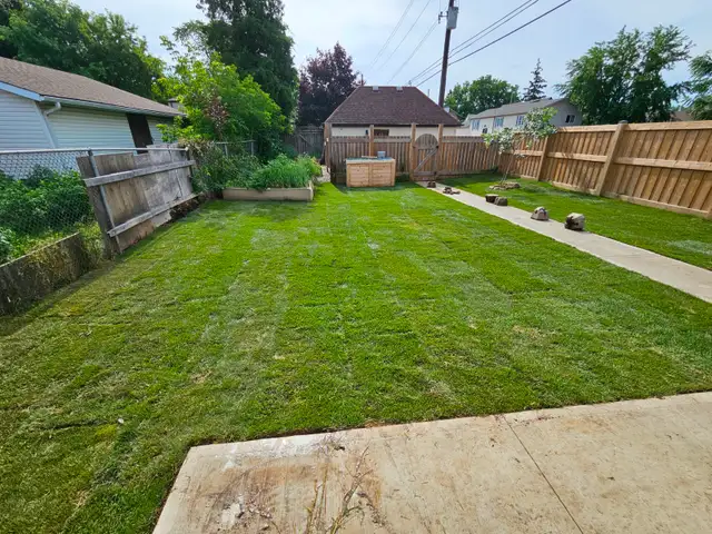 Landscaping - Photo 4