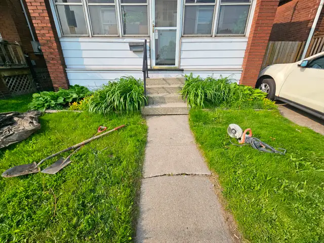 Landscaping - Photo 5