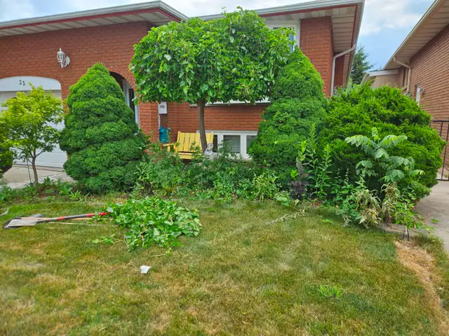 Landscaping - Photo 7