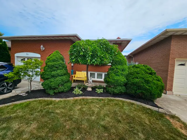 Landscaping - Photo 8