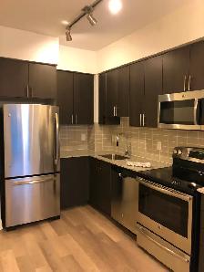 ALL UTILITIES INCLUDED. One bed luxury condo for rent - Photo 8