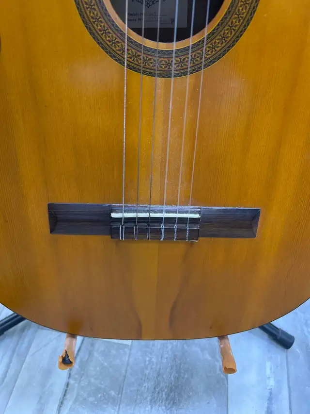 EL Degas G-5 Classical Acoustic Guitar With Gig Bag - Photo 6