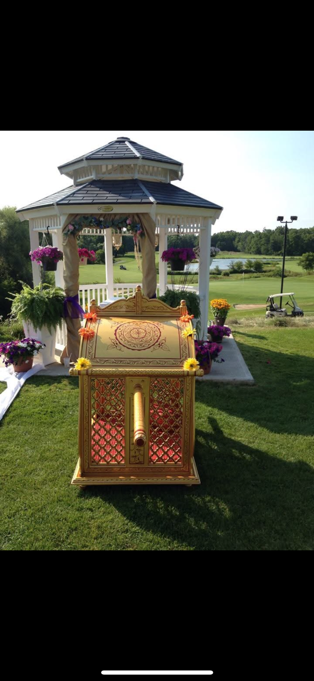 Wedding Palki / Doli for Rental - Photo 7