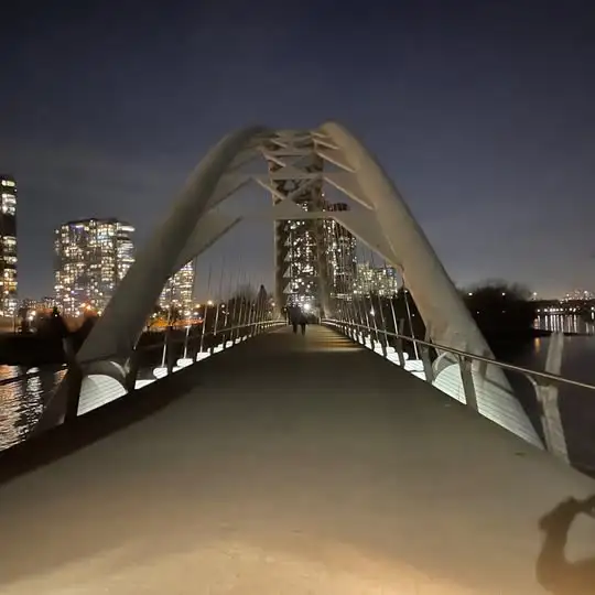 Private Master Bedroom w/ Ensuite – High Park / Waterfront - Photo 4