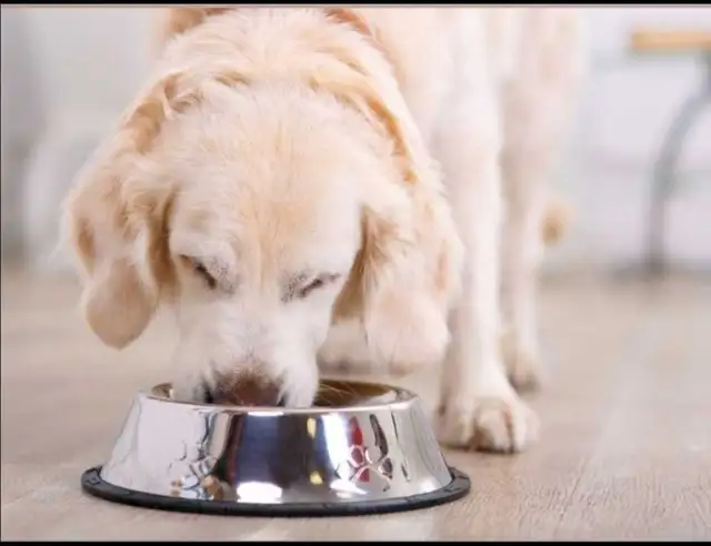 GAMELLE EN ACIER INOXYDABLE À ALIMENTATION OU EAU LENTE.$20. - Photo 9