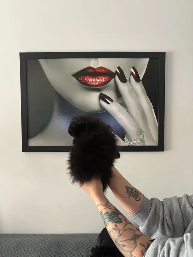 superbes petit Pomeranien 2 mâles et 2 femelles - Photo 6