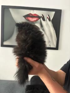 superbes petit Pomeranien 2 mâles et 2 femelles - Photo 8