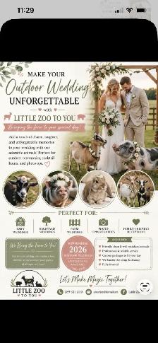 unique outdoor wedding?!- Little zoo to you!