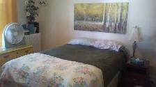 Room 4 Rent, Shut Down or Contractors Only (West) $230 Week