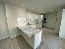 Près du Plateau - Grand logement 4 chambres - Terrasse