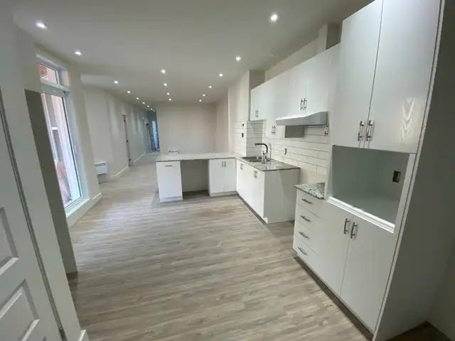 Près du Plateau - Grand logement 4 chambres - Terrasse - Photo 3