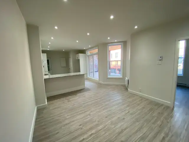 Près du Plateau - Grand logement 4 chambres - Terrasse - Photo 4