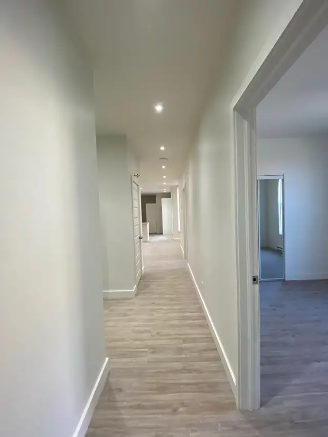 Près du Plateau - Grand logement 4 chambres - Terrasse - Photo 5