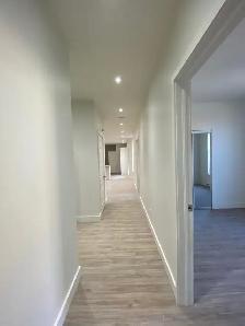 Près du Plateau - Grand logement 4 chambres - Terrasse - Photo 5
