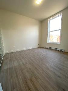 Près du Plateau - Grand logement 4 chambres - Terrasse - Photo 8