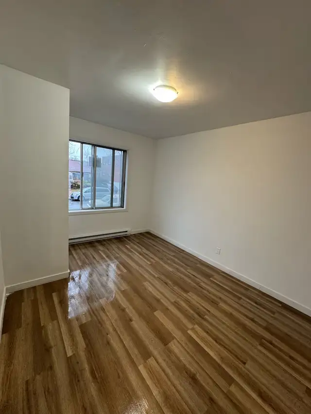 À LOUER – Grand 4½ entièrement rénové | 22e Avenue, Montréal - Photo 2