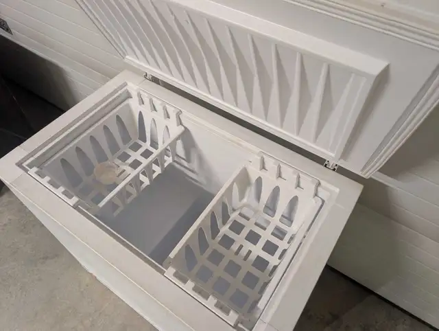 Chest Freezer - Can Deliver - Photo 2
