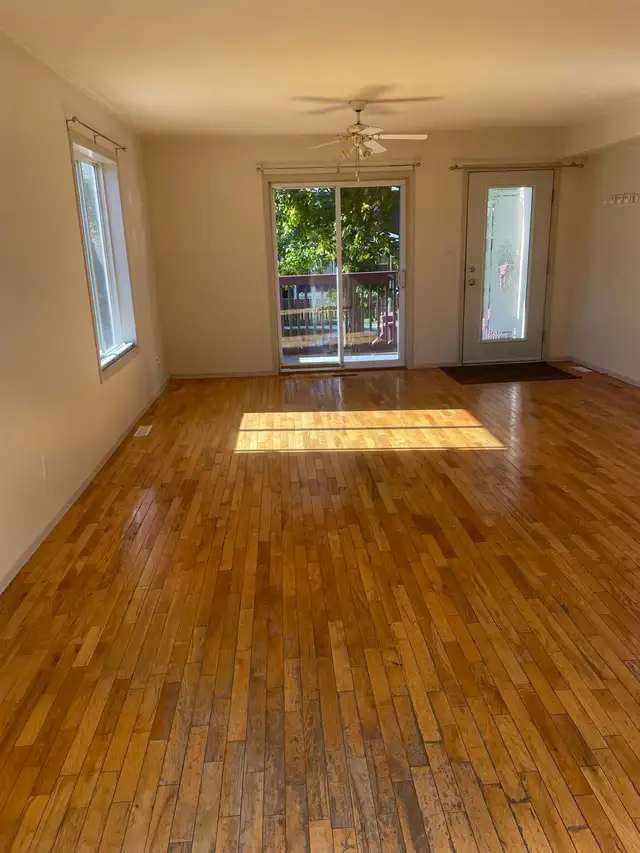 Gorgeous Spacious 5  Bedroom  2  Bath Executive  Home  U of A - Photo 2