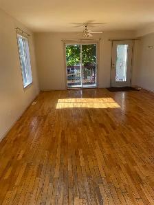 Gorgeous Spacious 5  Bedroom  2  Bath Executive  Home  U of A - Photo 2