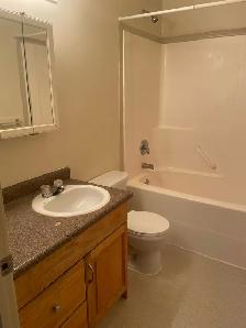 Gorgeous Spacious 5  Bedroom  2  Bath Executive  Home  U of A - Photo 3