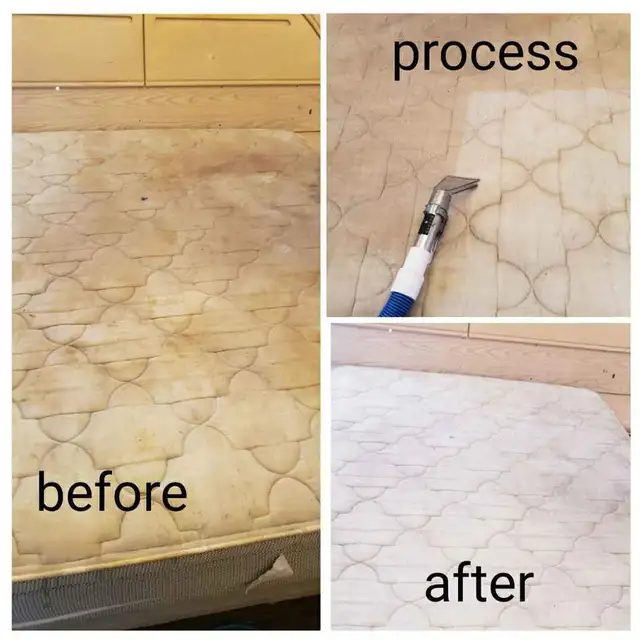 Best Home Carpet,Rug and Couch_Cleaner - Photo 5