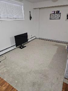 Basement Bachelor Suite - Photo 2