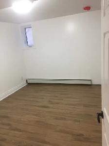 Very nice 2 bedroom unit in Old Ottawa South  - For July 1st! - Photo 5