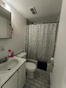 Appartement 3½ à louer - Berri-UQAM - Photo 2