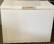 Chest Freezer 12 cu