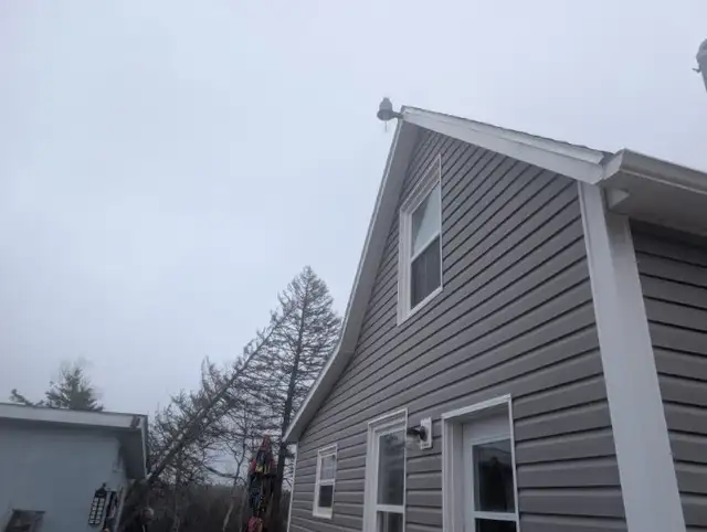 House for rent in Bonshaw - Photo 9