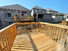 Brand New! 4 Bed   Den Upper Duplex, South Barrie - Photo 6
